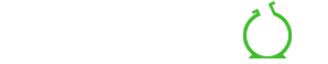 نیرو گستر لیان